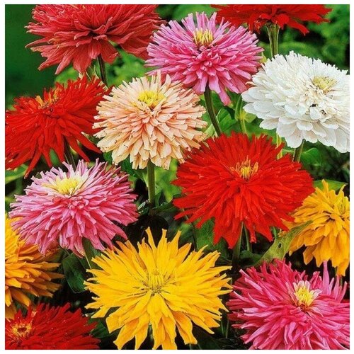 ������ ������ ������ ������ ������ ������ ������� 50 ��. ����