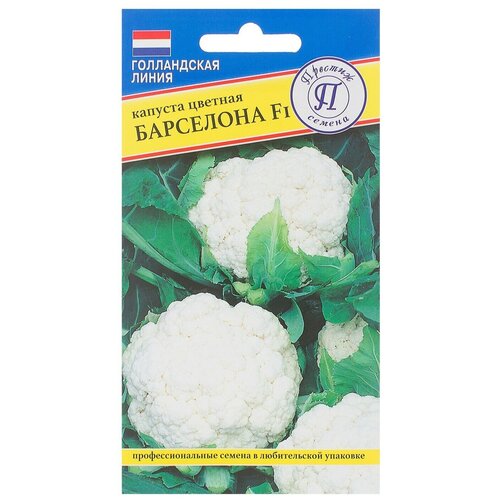 ������ ������ ������ ������� ������� ��������� F1 ����