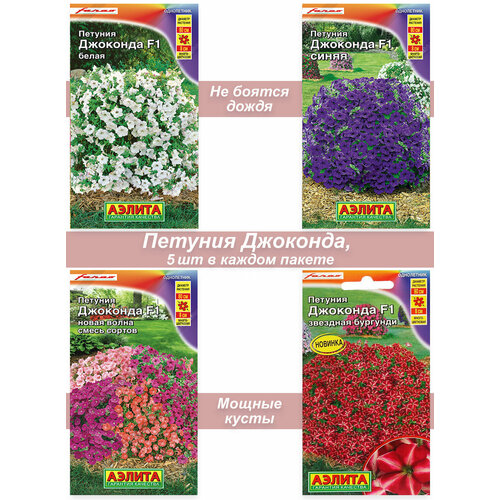 ������ ������ ������ ������ ������� ��������� ��������� �������������� �������� ����