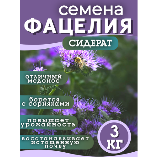 ������ ������ ������ �������, �������, 3 �� ����