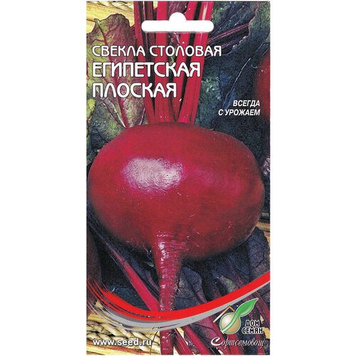 ������ ������ ������ ���������� �������, 120 ����� ����