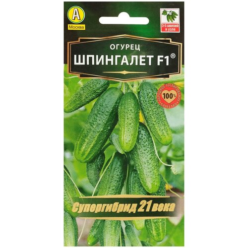 ������ ������ ������ ������ 