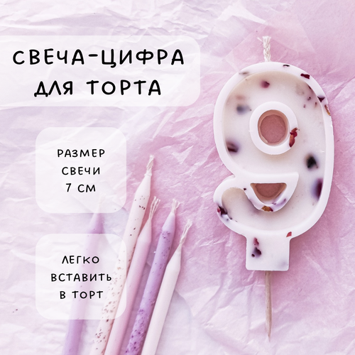 ������ ������ ����� ��� ����� ����� 9, ������ ������, 1�� ����