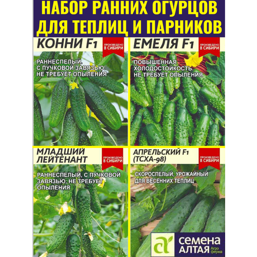 ������ ������ ����� ����� ����������� ������� ��� ������ � �������� - 4 �����. ������������� ������� ����