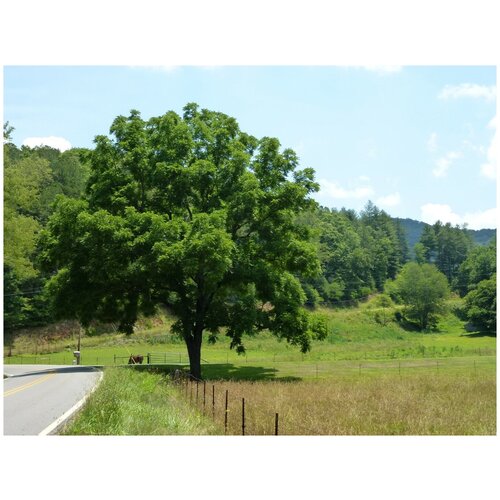 ������ ������ ������ ����� ������� ����