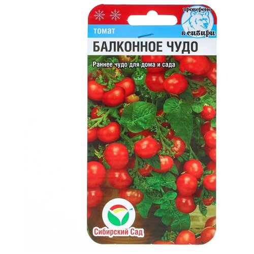 ������ ������ ������ ����� 