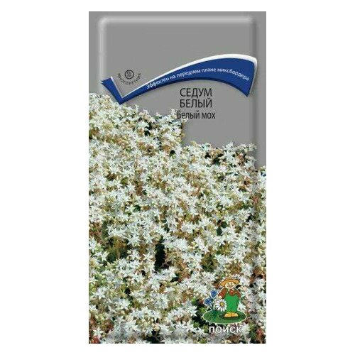 ������ ������ ����� ����� ����� ��� ������. 0,01��. (�����) ����