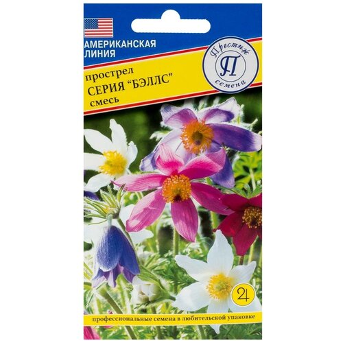 ������ ������ �������� ����� �����. ������. �����������. �������������� ��������, �� ������ ���������� �����������, ������ ��������, ������������� ����� �������������� �������� ����