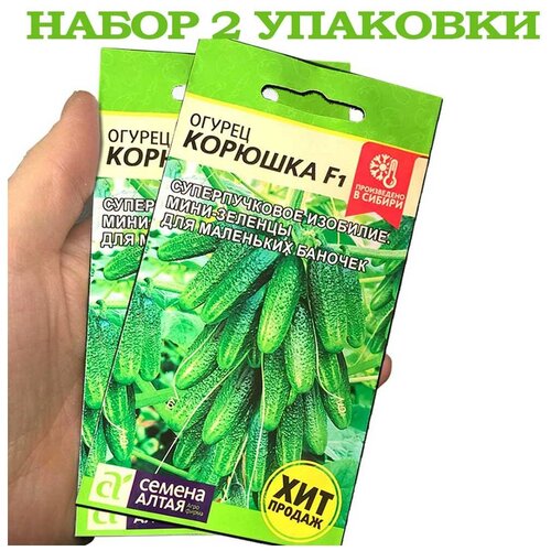 ������ ������ ������ ������ ������� F1 (5 ��) ����