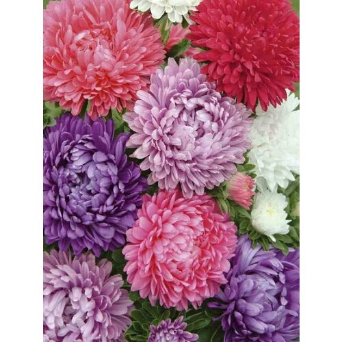 ������ ������ ����� ����� ����� ����������� - 2 � ����