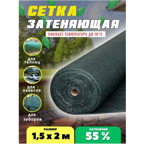������ ������ ����� ���������� �������, ��������� 55%, ������ 1,5�2� ����