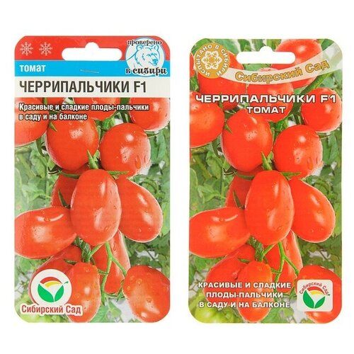 ������ ������ ����� ������������� F1 (15��) 