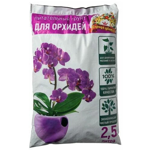 ������ ������ ����� ������ ������ ��� ������� 2,5� ����