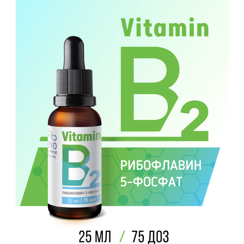 ������ ������ ������� �2 ���������� 5-������ ����