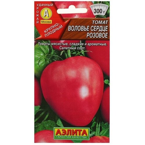 ������ ������ ������ ����� ������� ������ 20�� ����� (������) ����