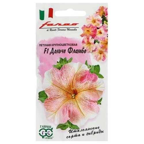 ������ ������ ������ ������ ������� ������ ������ ����� 7 �� ����