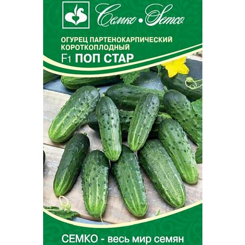 ������ ������ ������ ������ ��� ���� F1 5�� ������������������ ������ (�����) ����