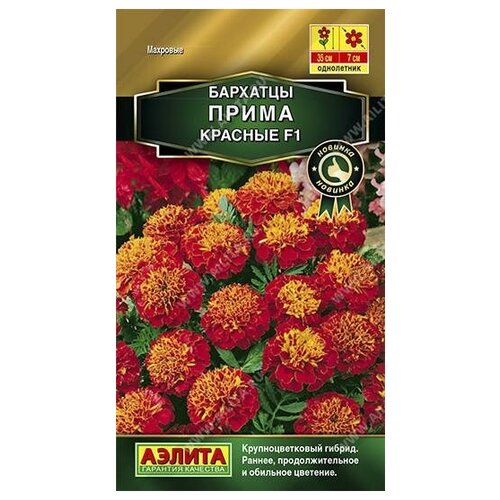 ������ ������ ������. �������� ����������� 