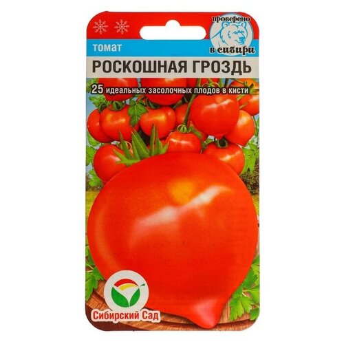 ������ ������ ������ ����� 