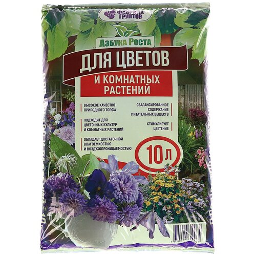 ������ ������ ���������� ������������� ���������, 10 � ����