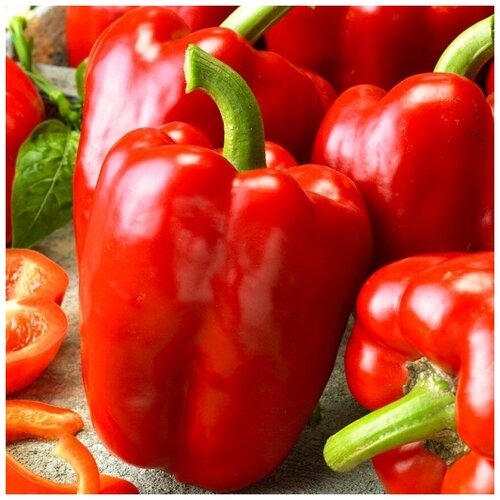 ������ ������ ������ ������ ����� ������� ������� 10 ��. ����