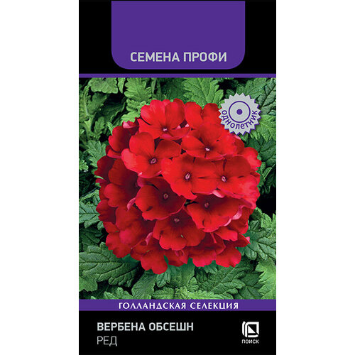 ������ ������ ������ ������� ��������� 10�� ����