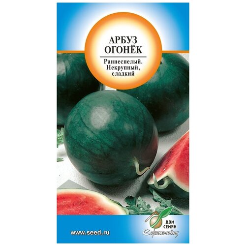 ������ ������ ����� ������, 10 ����� ����