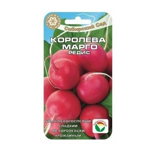 ������ ������ �������� ����� 2�� ����� (��� ���) ����