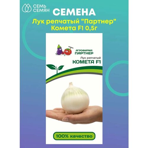 ������ ������ ��� �������� 