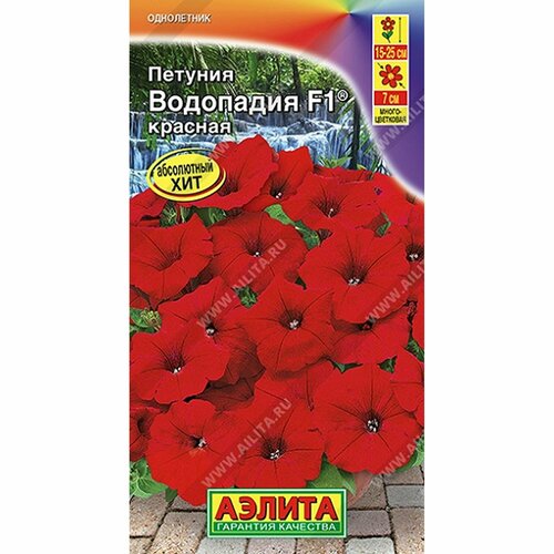 ������ ������ ������ ������� ��������� F1 �������, ����������, (������) 5�� ����