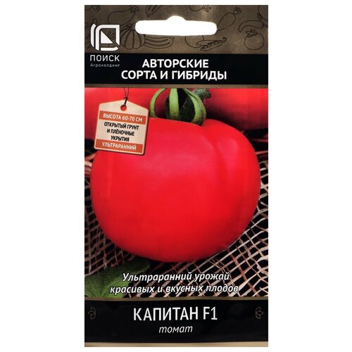 ������ ������ ������ ����� ����� ������� F1 12 ��. ����