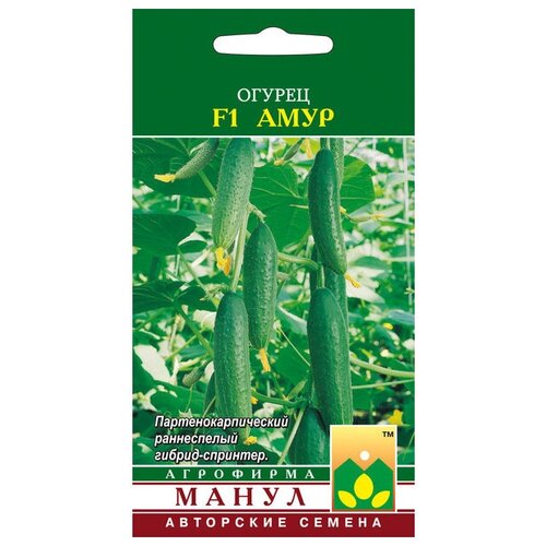 ������ ������ ������ F1 ���� 10 �� ����� ����