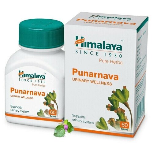 ������ ������ ��������� Himalaya Wellness Pure Herb 60 ���. ����