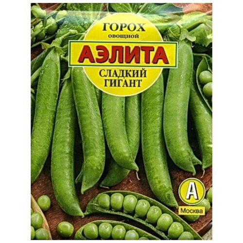 ������ ������ ����� 