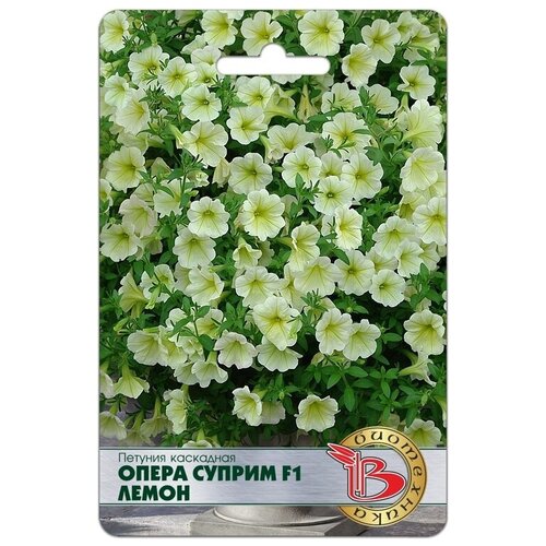 ������ ������ ������ ������� ��������� 