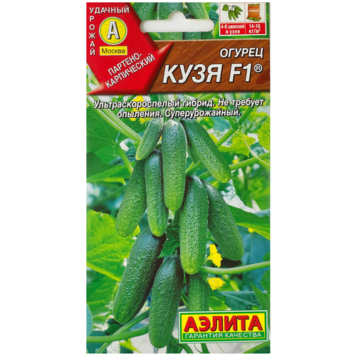 ������ ������ ������ ��������� ������ ������ ���� F1 10 ��. ����