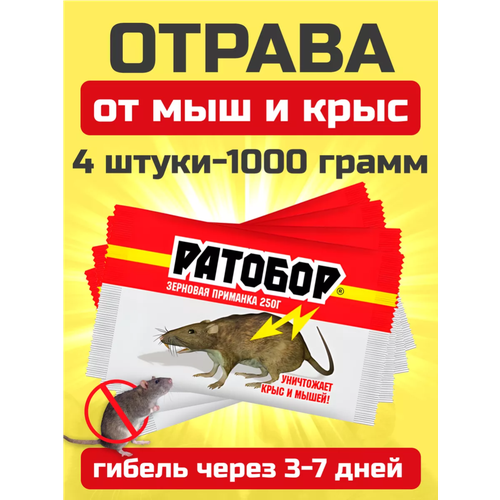 ������ ������ ������ ��� �������� � ����������, �������� ������ ���� � �����, 1 �� ����