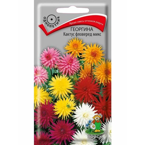 ������ ������ �������� 