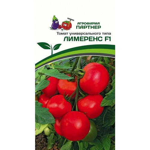 ������ ������ ������ ������ ��������� ������� 