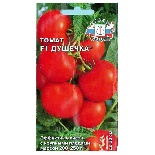 ������ ������ ������ ����� 