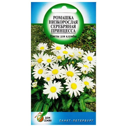 ������ ������ ������� ����������� ����������� ���������� ���������, 80 ����� ����