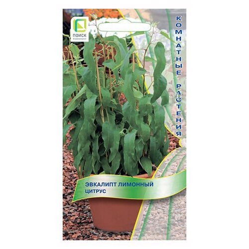 ������ ������ ������ ��������� ����� �������� ������ 5 �� ����