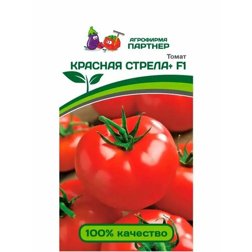 ������ ������ ������ ������ 