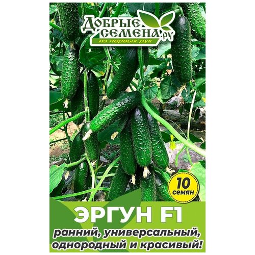 ������ ������ ������ ������ ����� F1 - 10 �� - ������ ������. �� ����