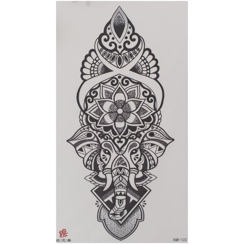 ������ ������ ���� ��������� / ���������� ���� / 12�21 �� ����