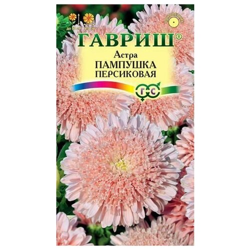 ������ ������ ����� �������� ����������, ��������� ����