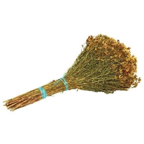 ������ ������ ����� �������� �� �������� ����