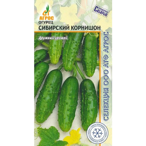 ������ ������ ������ ������ ��������� �������� 10�� �� (�����) ����