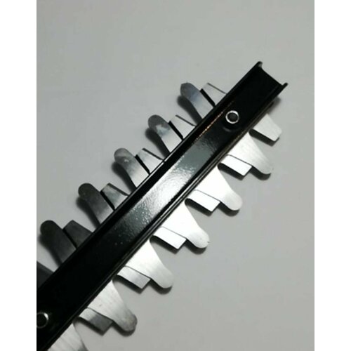 ������ ������ ������� �������� ��� ��� ������ 40�� ����