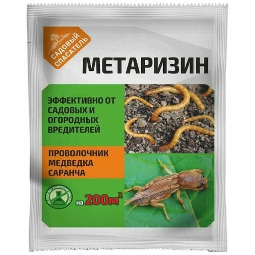 ������ ������ ��������� 25� ����